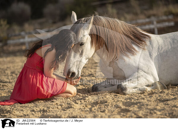 Freiarbeit mit Lusitano / Free work with Lusitano / JM-22564