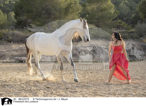 Freiarbeit mit Lusitano / Free work with Lusitano / JM-22575