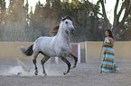 Frau mit Lusitano