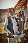 Marwari auf dem Viehmarkt