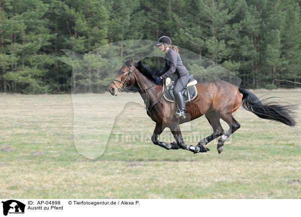 Ausritt zu Pferd / AP-04898