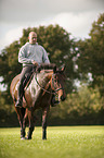 Mann reitet Mecklenburger