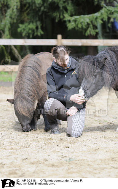 Frau mit Mini-Shetlandponys / AP-06118