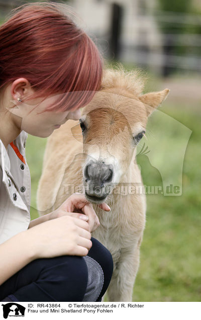 Frau und Mini Shetland Pony Fohlen / woman and Miniature Shetland Pony foal / RR-43864