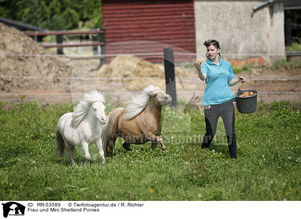 Frau und Mini Shetland Ponies / woman and Mini Shetland Ponies / RR-53589