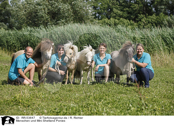 Menschen und Mini Shetland Ponies / humans and Mini Shetland Ponies / RR-53647