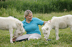 Frau und Mini Shetland Ponies