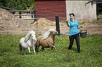 Frau und Mini Shetland Ponies