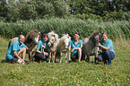 Menschen und Mini Shetland Ponies