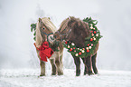 2 Mini Shetlandponies