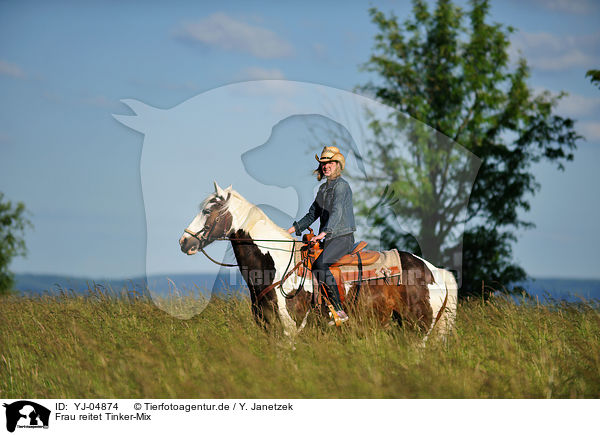 Frau reitet Tinker-Mix / woman rides horse / YJ-04874