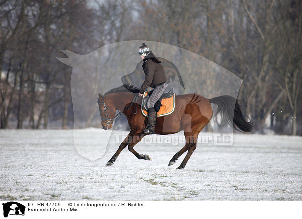 Frau reitet Araber-Mix / woman rides horse / RR-47709