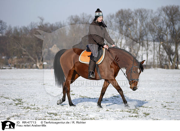 Frau reitet Araber-Mix / woman rides horse / RR-47713