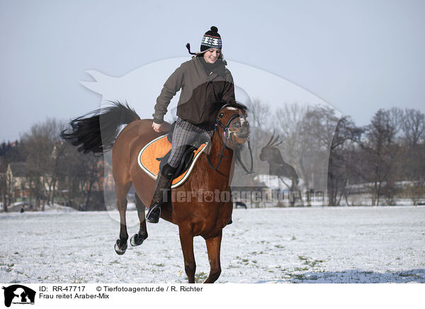 Frau reitet Araber-Mix / woman rides horse / RR-47717