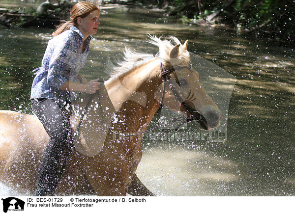 Frau reitet Missouri Foxtrotter / BES-01729