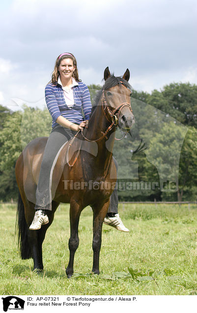 Frau reitet New Forest Pony / woman rides New Forest Pony / AP-07321