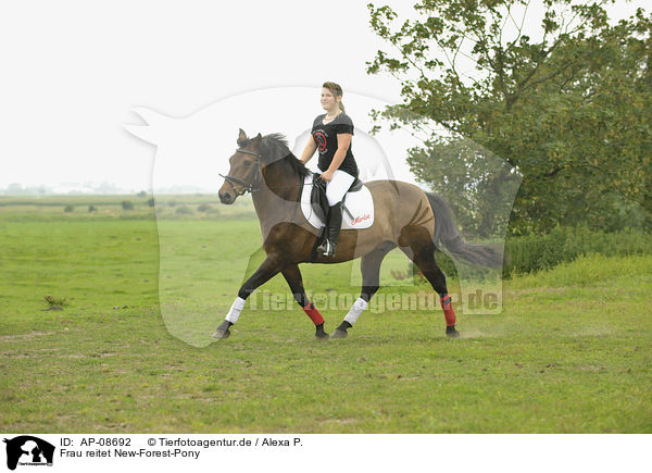 Frau reitet New-Forest-Pony / woman rides New-Forest-Pony / AP-08692