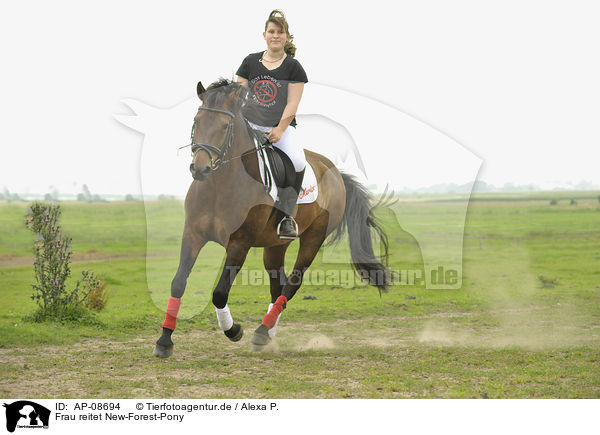 Frau reitet New-Forest-Pony / woman rides New-Forest-Pony / AP-08694