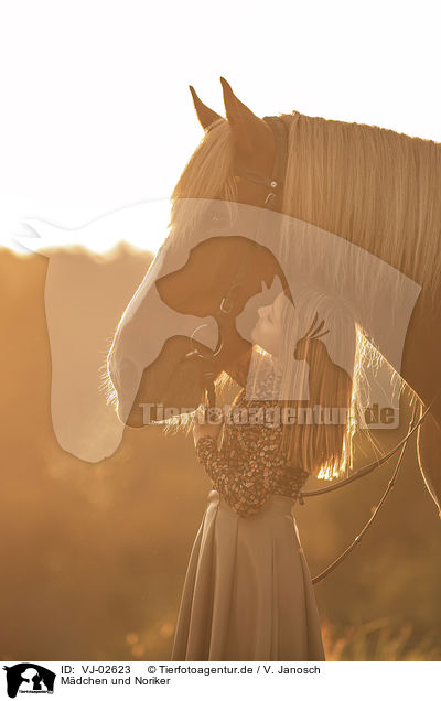 Mdchen und Noriker / girl and Noriker / VJ-02623