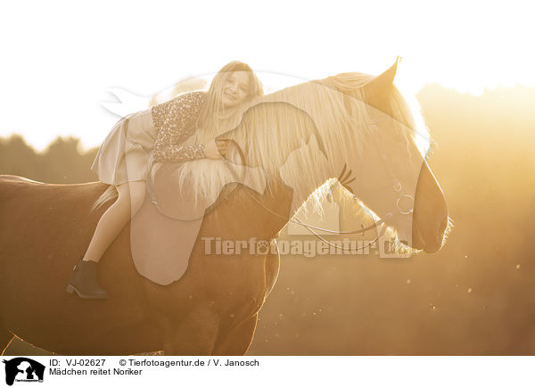 Mdchen reitet Noriker / girl rides Noriker / VJ-02627