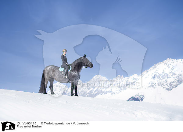 Frau reitet Noriker / woman rides Noriker Horse / VJ-03115