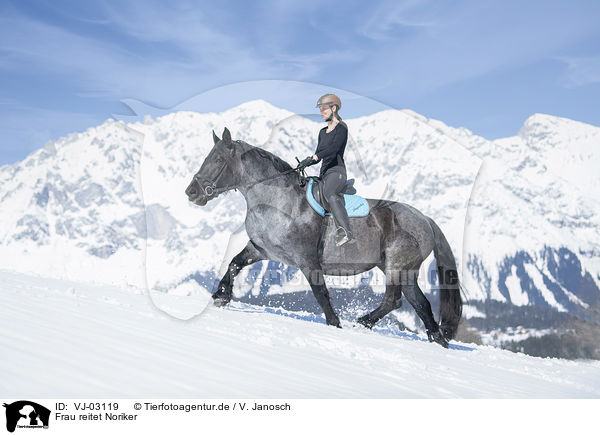 Frau reitet Noriker / woman rides Noriker Horse / VJ-03119