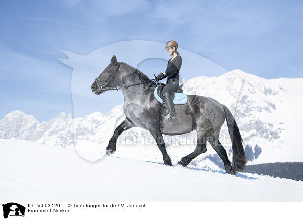 Frau reitet Noriker / woman rides Noriker Horse / VJ-03120