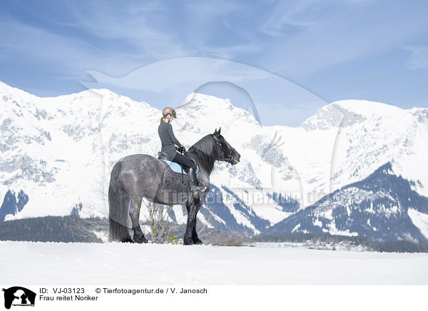 Frau reitet Noriker / woman rides Noriker Horse / VJ-03123
