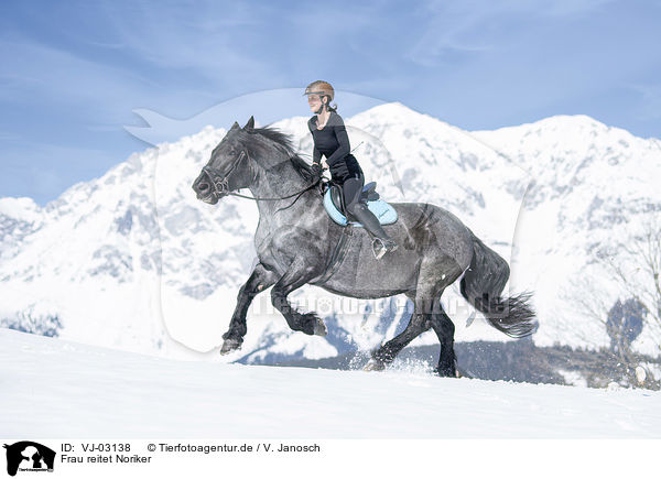 Frau reitet Noriker / woman rides Noriker Horse / VJ-03138