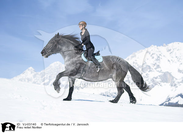 Frau reitet Noriker / woman rides Noriker Horse / VJ-03140