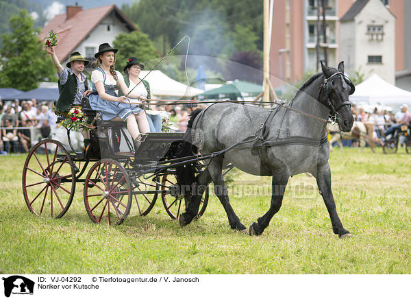 Noriker vor Kutsche / VJ-04292