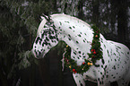 Pferd mit Weihnachtsdeko