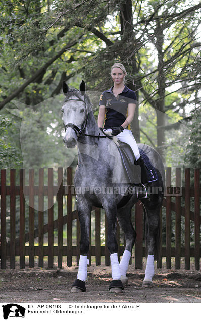 Frau reitet Oldenburger / woman rides Oldenburger / AP-08193