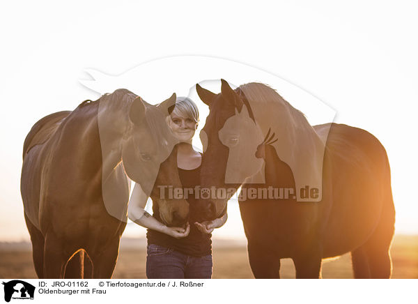 Oldenburger mit Frau / Oldenburg Horse with a woman / JRO-01162