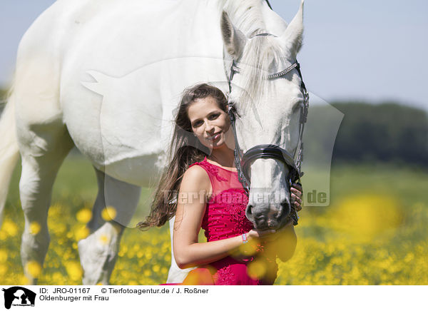 Oldenburger mit Frau / Oldenburg Horse with a woman / JRO-01167