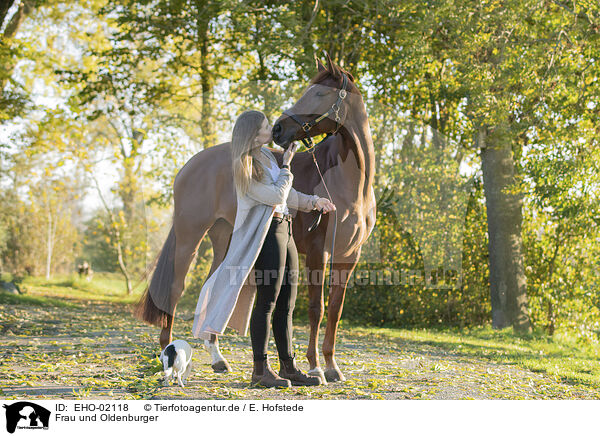 Frau und Oldenburger / woman and  Oldenburg Horse / EHO-02118