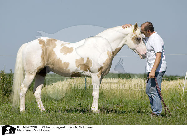Mann und Paint Horse / man and Paint Horse / NS-02294