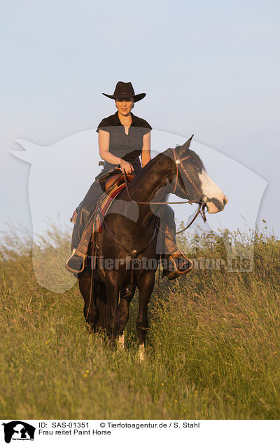 Frau reitet Paint Horse / woman rides Paint Horse / SAS-01351