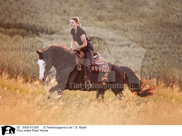 Frau reitet Paint Horse / woman rides Paint Horse / SAS-01356