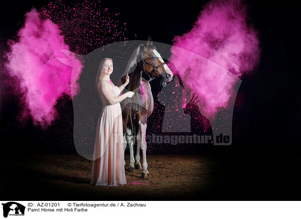 Paint Horse mit Holi Farbe / AZ-01201