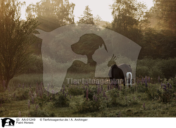 Paint Horses / Paint Horses / AA-01249