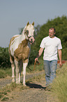 Mann und Paint Horse