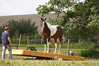 Frau mit Paint Horse