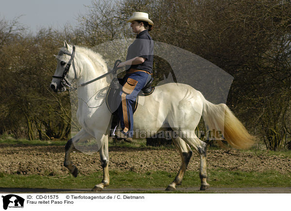 Frau reitet Paso Fino / woman rides Paso Fino / CD-01575