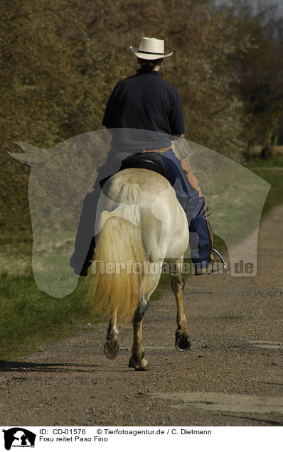 Frau reitet Paso Fino / woman rides Paso Fino / CD-01576