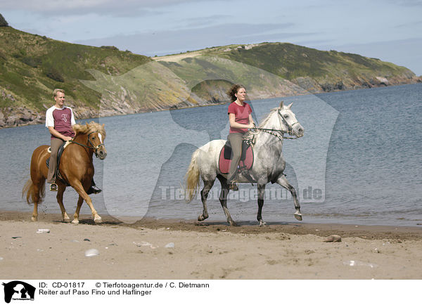 Reiter auf Paso Fino und Haflinger / riders on Paso Fino and haflinger horse / CD-01817