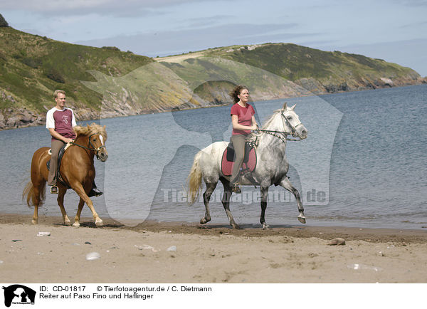 Reiter auf Paso Fino und Haflinger / riders on Paso Fino and haflinger horse / CD-01817