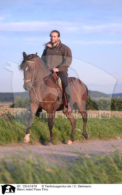 Mann reitet Paso Fino / man rides Paso Fino / CD-01879