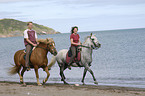 Reiter auf Paso Fino und Haflinger