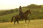 Frau reitet Paso Fino